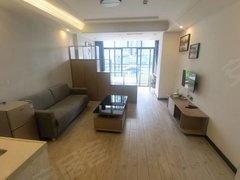 深圳宝安宝安中心区当天签约送电动车 翻身村 品牌公寓 电梯精装修 1室1厅出租房源真实图片
