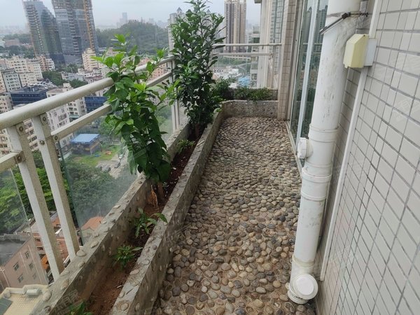 深圳宝安松岗松岗麒麟花园靠近地铁站 松岗麒麟花园 7室2厅4卫 320平