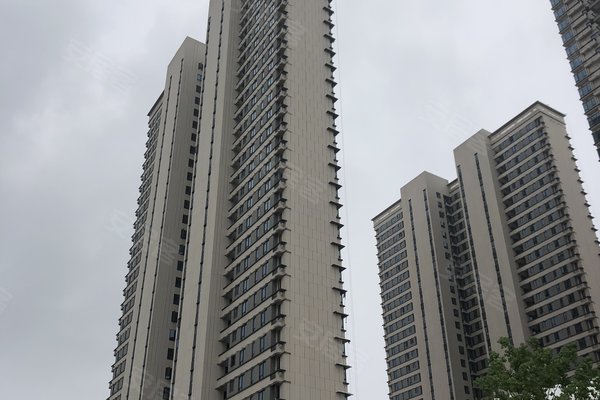 东原阅境优点,不足,武汉东原阅境怎么样,东原阅境周边房产中介经纪人