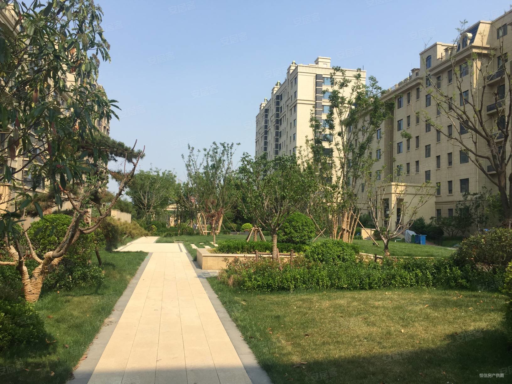 潍城恒信玫瑰公馆东区