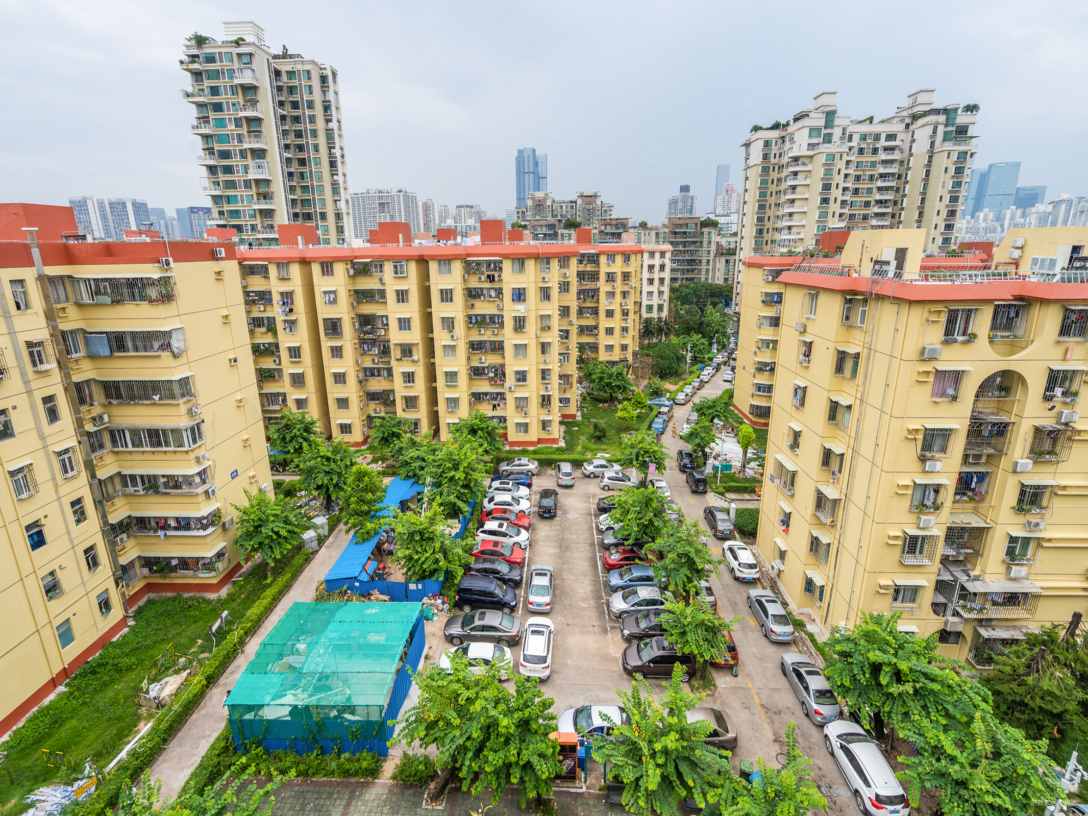 四海公园旁近指导价大三房靠近育才和花园城商圈