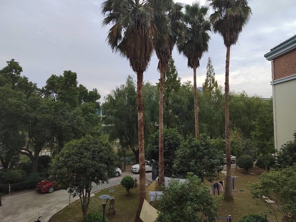 台州椒江锦江百货港湾花园港湾花园,两室朝南,电梯房,前无遮挡,看房