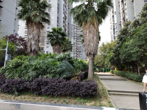 重庆渝北空港新城新都花园轻轨九号线春华大道站旁,免物业费,周边停车