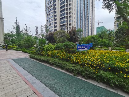 自贡华商公园里图片