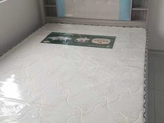 周口淮阳百家姓文化旅游城逸林一号公馆 3室2厅1卫出租房源真实图片