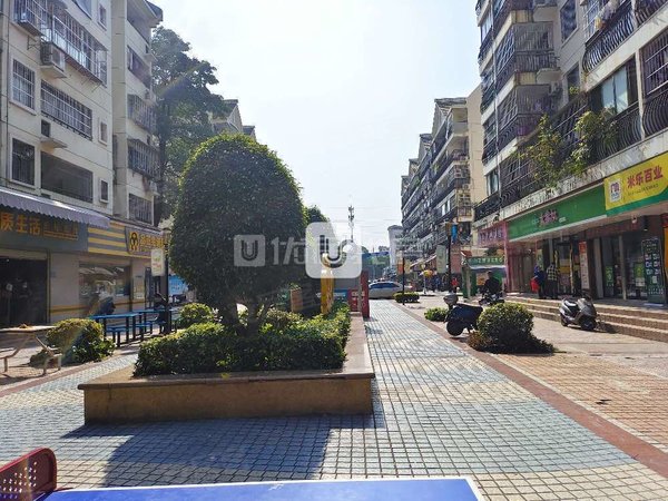 【多图】翠湖新城(北区),五一路租房,精装 4室 整租 136平楼中楼 翠湖