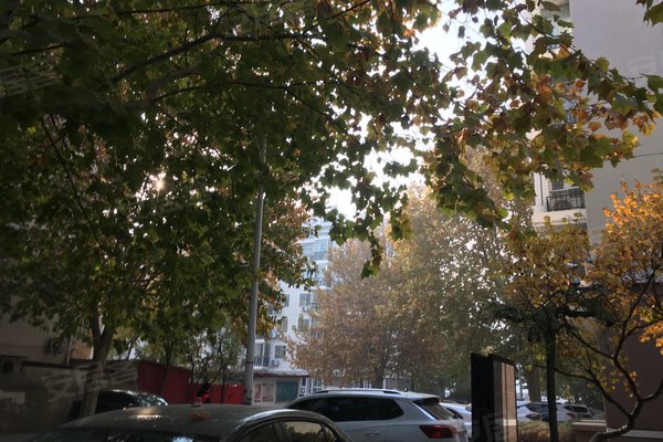 北京小区 怀柔小区 怀柔小区 裕华园一区 裕华园一区怎么样发布于2020