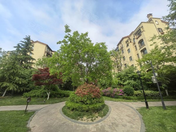 【多图】海尔山海湾,薛家岛租房,山海湾洋房套二全明户型新精装带全套