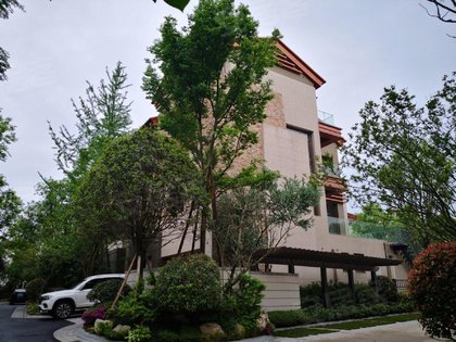 麓山国际黑玺庄园,麓山大道二段6号 - 成都麓山国际黑玺庄园二手房