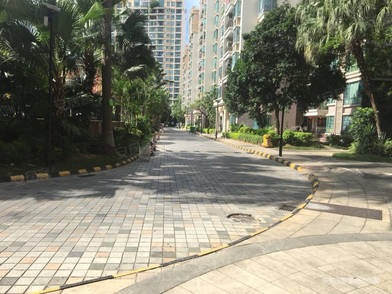 新天美地,带入户花园,电梯高层3房,一手业主,只卖这个价