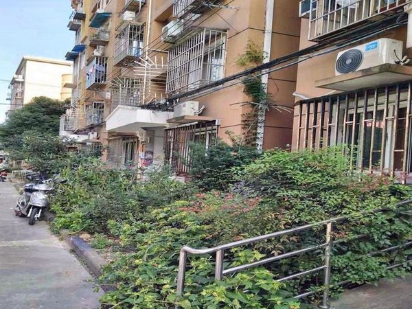 上海浦东洋泾崮山小区二街坊崮山二街坊 近六师 联洋大拇指 lcm旭辉