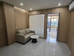 深圳龙岗爱联龙岗中心城爱联地铁站星河时代电梯精装阳台一房拎包入住出租房源真实图片