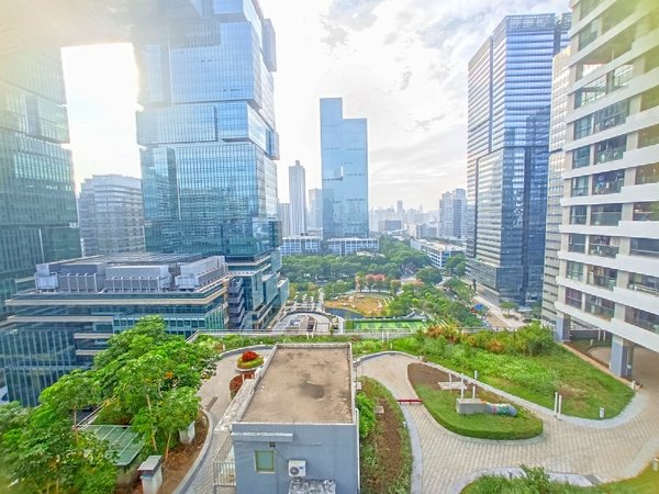 深圳南山科技园深圳湾科技生态园九号线地铁高新南站,科技生态园精装