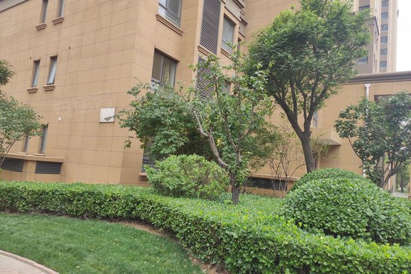 廊坊小区 香河小区 蒋辛屯小区 白鹭岛 白鹭岛怎么样