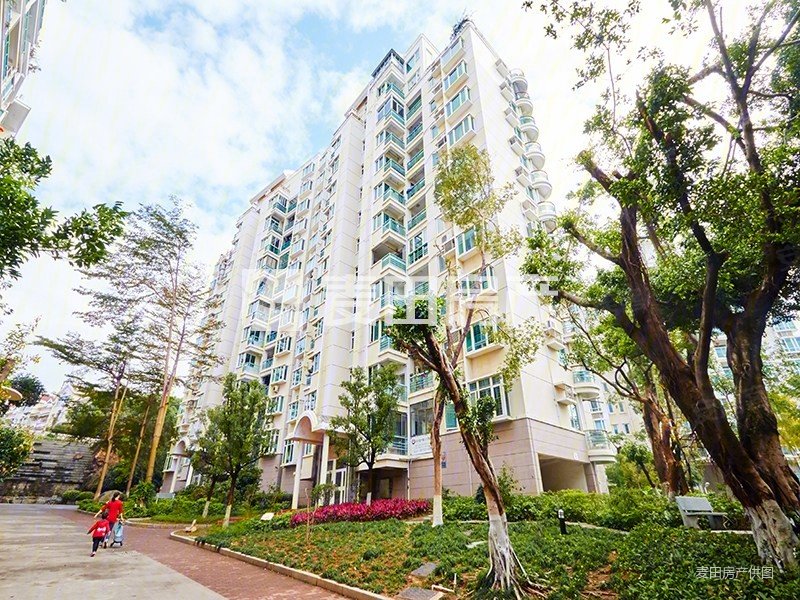 厦门十佳花园 南北向 四室三厅 高端装修 ,裕发花园二手房,1280万,4室