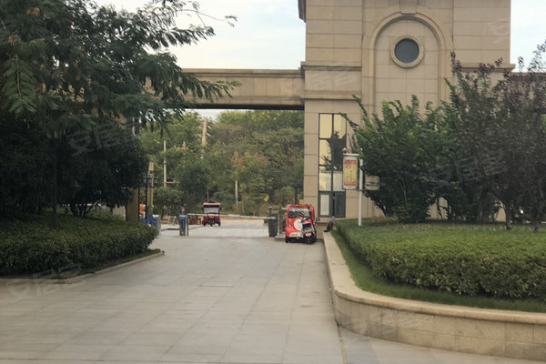 左岭社区人口_社区人口普查照片(3)