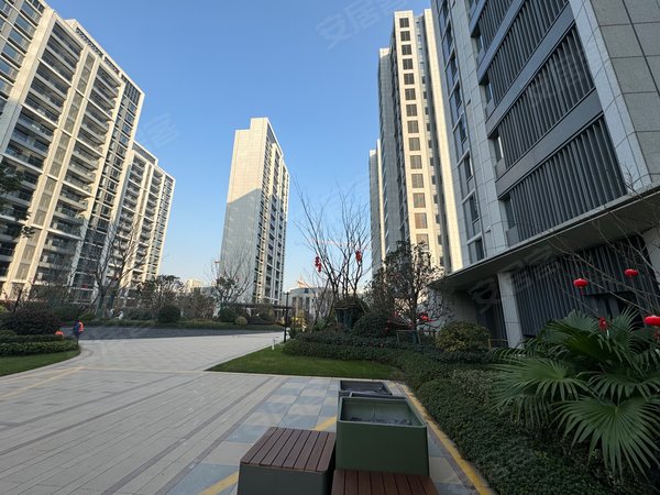 杭州拱墅东新阳光城檀映里杭州租房 新小区阳光城檀映里  观成学校