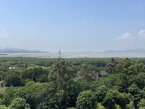 深圳福田沙嘴沙嘴村沙嘴精装电梯海景公寓招租出租房源真实图片