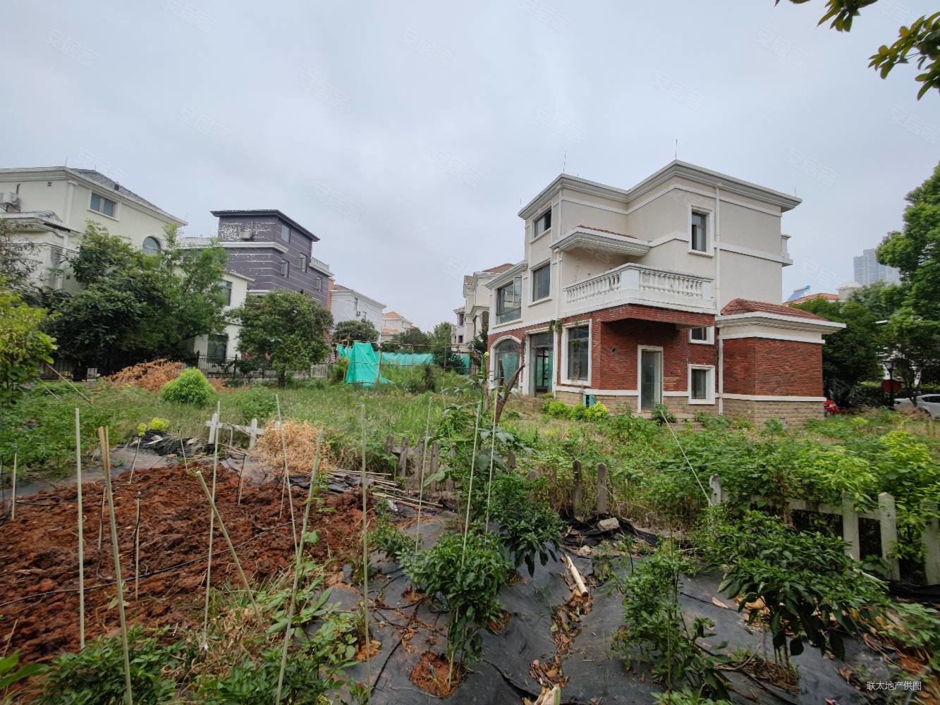 碧桂园威尼斯城别墅