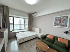 郑州郑东新区新东站片朝南 公寓一室 临东站 绿地之窗 新都会 蜜雪总部博学路地铁出租房源真实图片