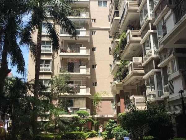 急租,金象嘉园,单身公寓,四楼,双阳台,采光