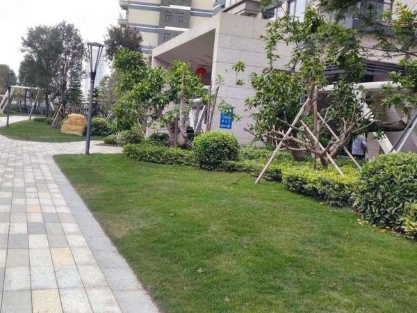 【多图】中海名钻,横琴口岸租房,(优选房)中海名钻 3房 励骏广场旁