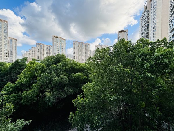 河滨城喽王大平层 空房出租有车位 中空地暖 随时看房,浦东租房-上海