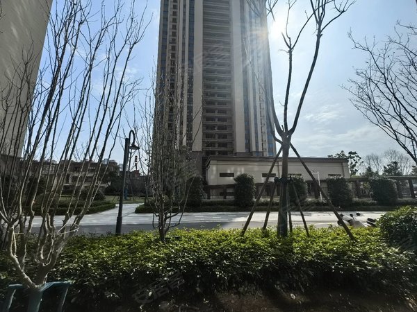 【多图】碧桂园铂悦府,浙北大厦租房,出租 宏达学校旁 碧悦府 三室