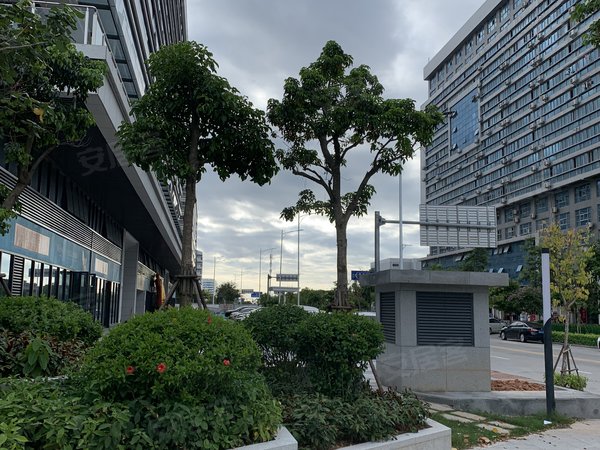 厦门湖里湖里大道阁下的海机场北区 海涵时代中心赣商大厦 绿柠檬