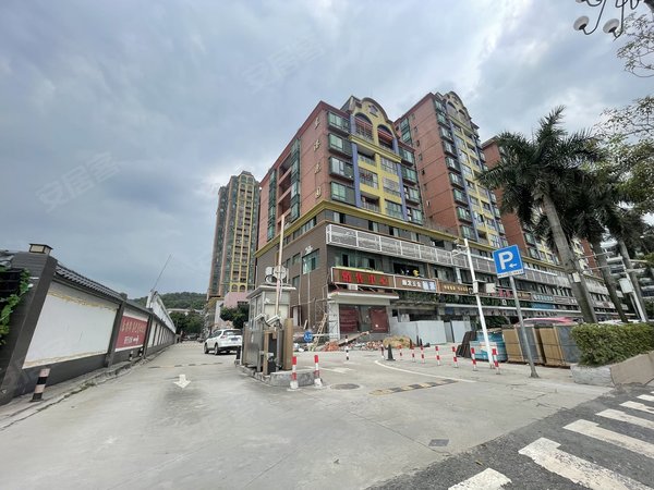 【多图】东港花园,文冲租房,东港花园 2室2厅1卫 70平 精装修,黄埔