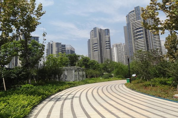 不足,金沙泊岸怎么样,金沙泊岸周边房产中介经纪人评价-武汉安居客