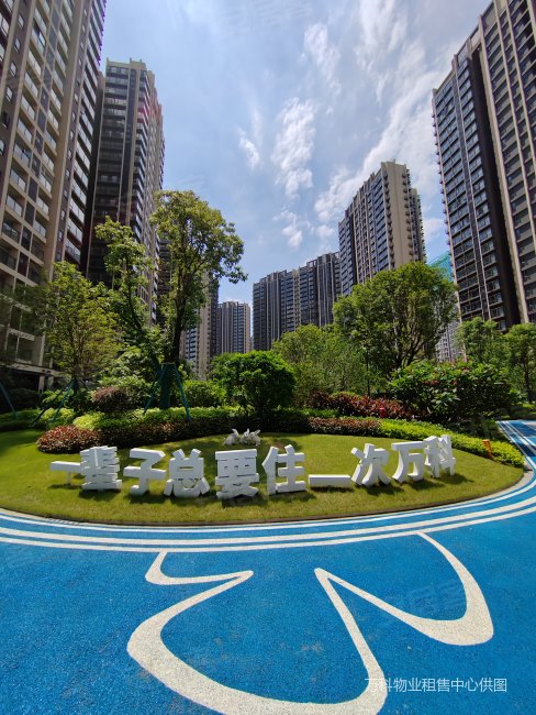 惠州万科大四居,在家目送孩子  ,急售,次新,婚房