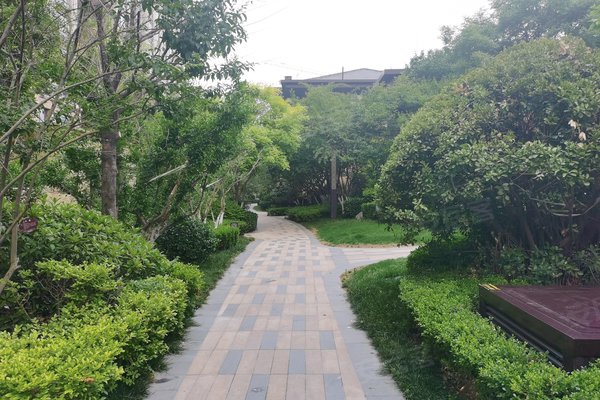 曦园张店-齐盛湖-鲁泰大道