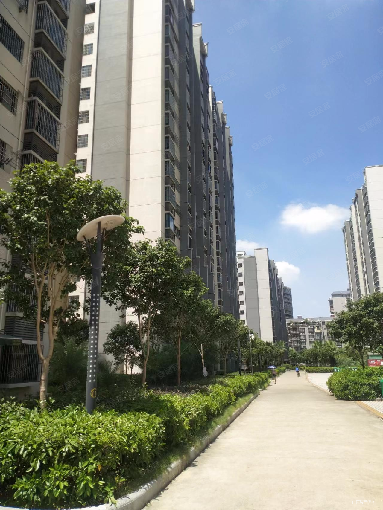 捡大漏九龙印象4房中高层单价只要6100看房有钥匙