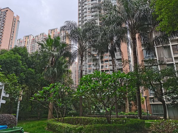 南宁江南壮锦大道汇东星城汇东星城两房出租复式楼出租房源真实图片