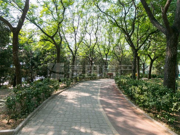 北京朝阳望京南湖东园一区南湖东园一区 3室2厅1卫 电梯房 94平 配套