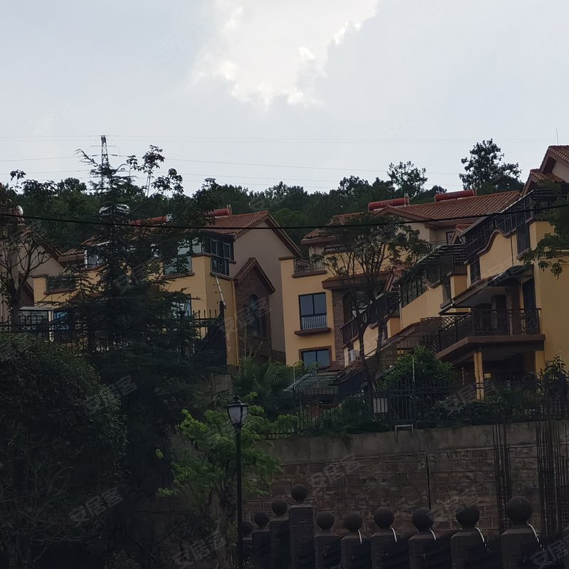 茶花谷国际社区香槟郡小区小区详情,房价走势,房源,业主论坛】- 楚 