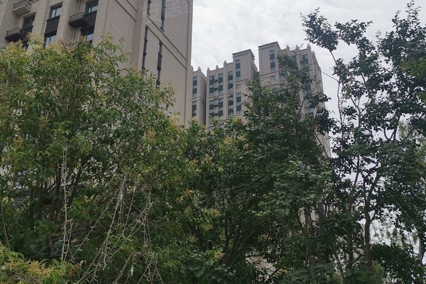 华瑞紫韵城星园,长椿路-郑州华瑞紫韵城星园二手房,租房-郑州安居客