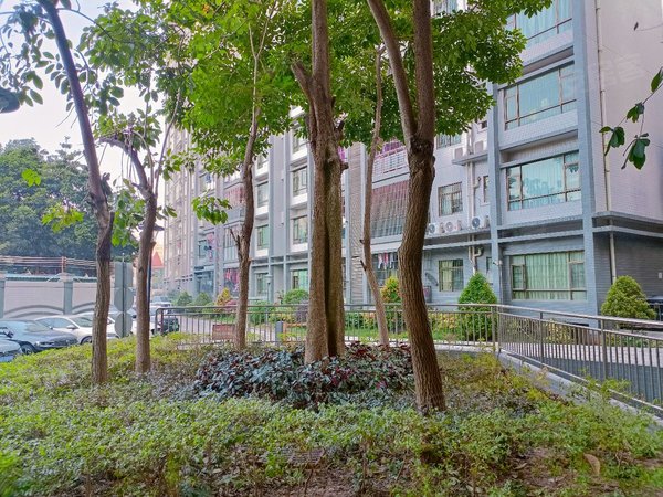 深圳宝安沙井恒源花园沙井京基百纳旁,恒源花园三房部分家私出租,大