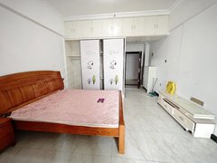 武汉黄陂汉口北汉口北地铁旁 精装修1室1厅 拎包入住 家具家电齐全出租房源真实图片