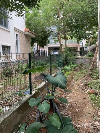 三正卧龙山花园(别墅)5室2厅4卫293㎡南北880万