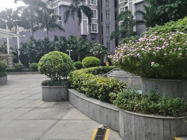 惠州惠城麦地东鸿润花园麦地 鸿润花园 中高楼层 大三房两厅两卫 西南