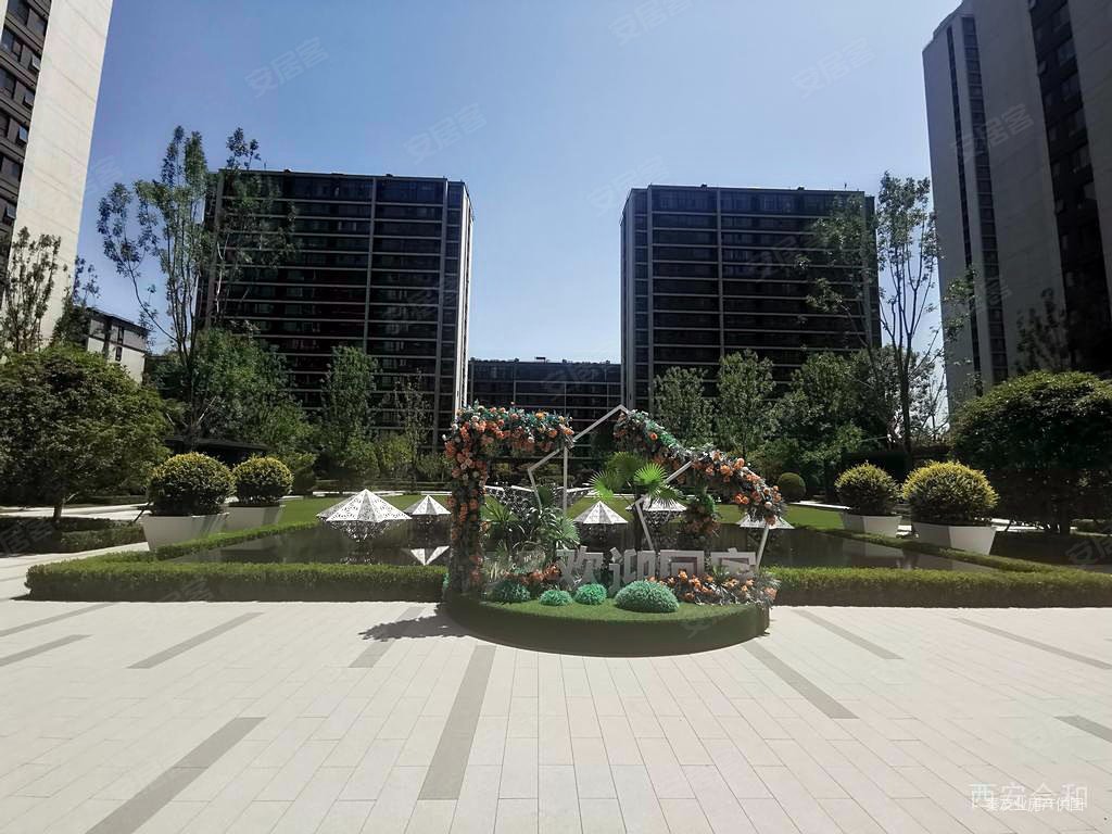 精装修 一梯一户 高新一中 国际港务区 铁一中 枫林九溪,枫林九溪蓝溪