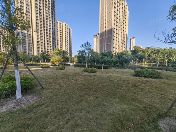 厦门翔安翔安新城洋唐居住区保障性安居房b13洋塘居住区  电梯3房