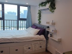 无锡新吴新安佛奥天佑城 1室1厅1卫出租房源真实图片