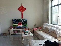 上海浦东三灶六灶迪斯尼附近私房，整栋民房出租，10000月出租房源真实图片