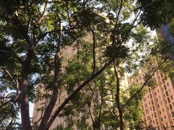 多图 古北御庭 花木租房 我是物业租售中心的 此房真实无任何虚假 全屋地暖新风有车位 浦东租房 上海58安居客