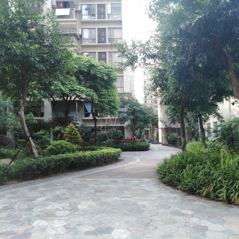 金汇城市广场小区详情,房价走势,房源,业主论坛】- 江门58同城