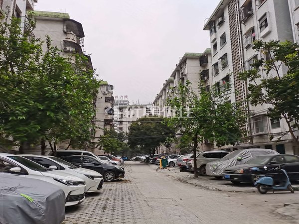 明秀路租房,明秀小区一区 一房一厅 低楼层,西乡塘租房-南宁58安居客