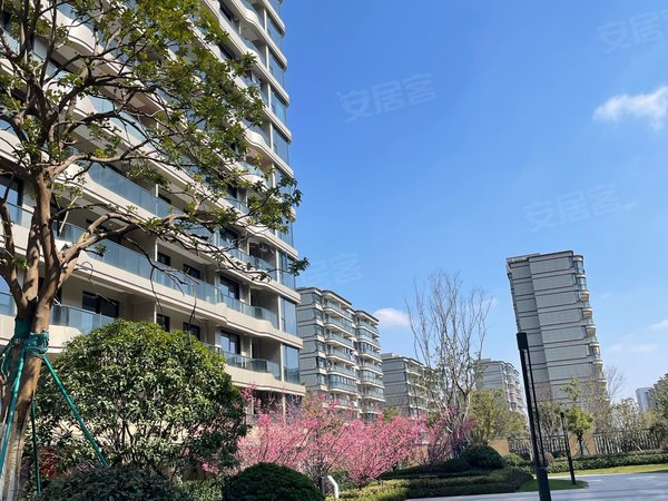 绍兴越城市区环内金昌白鹭凤林金昌白鹭凤林 4室2厅2卫出租房源真实